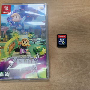 닌텐도 스위치 젤다의 전설 짛케의 투영