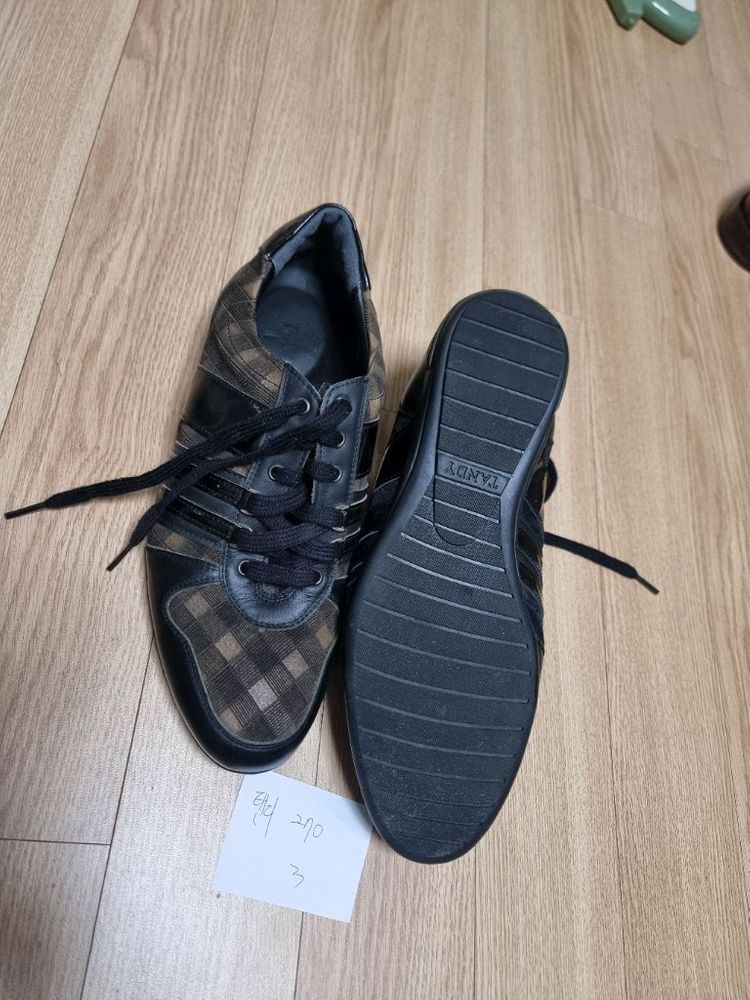 탠디 270 이미지