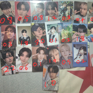 엔하이픈 포카 양도 이미지