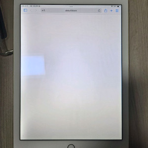 애플 아이패드 에어2 32GB 판매합니다~케이스 함께 드립니다-