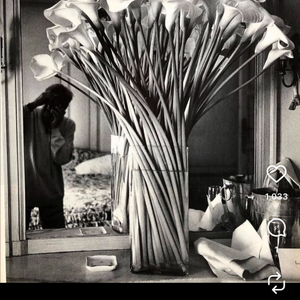 헬무트 뉴튼 HELMUT NEWTON 사진집 SUMO