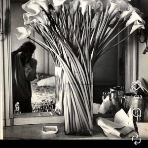 헬무트 뉴튼 HELMUT NEWTON 사진집 SUMO