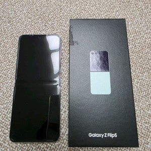 갤럭시 Z플립5 512gb 민트색상 판매