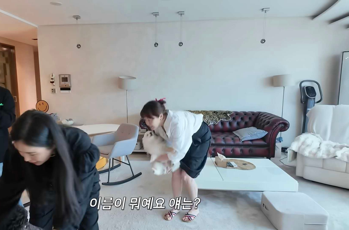 체스터필드 소파 레드&그린 3인용 1인용 이미지