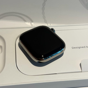 애플워치11 42mm 네추럴 티타늄 밀레니즈루프 새상품 팝니다.