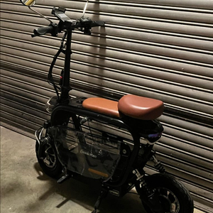 미니비포니 듀얼모터 전기스쿠터 이미지