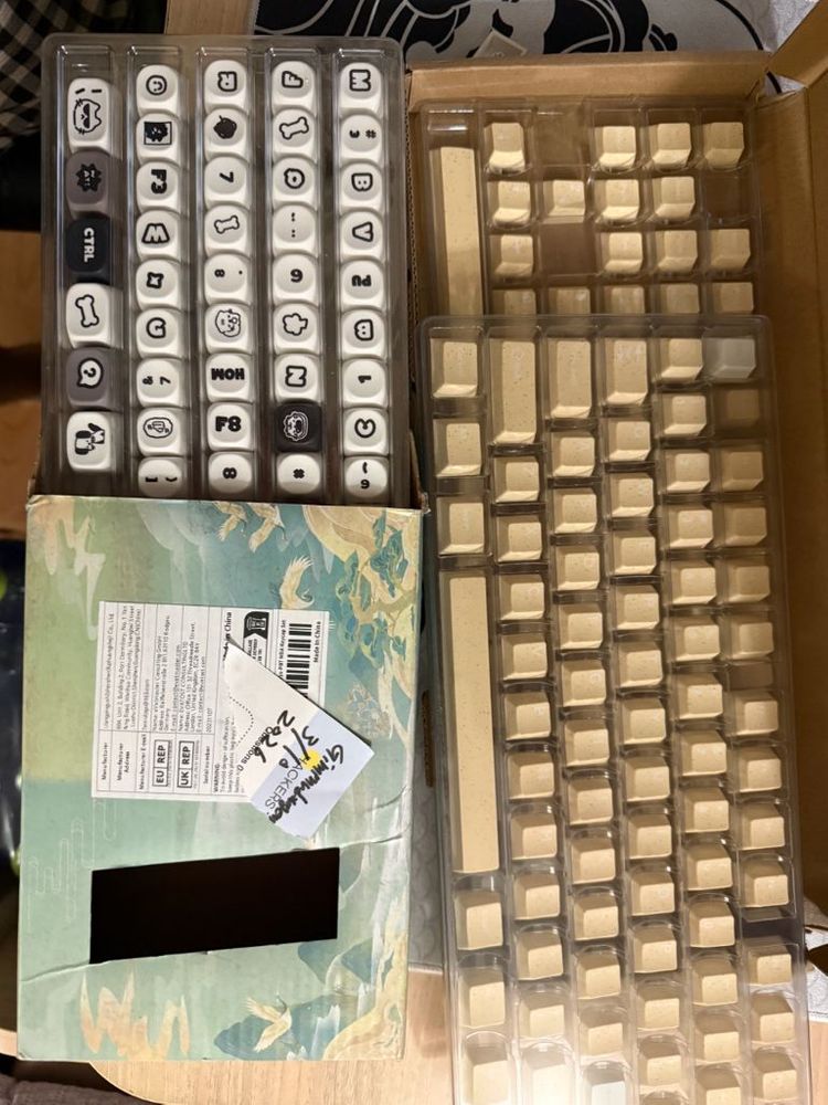 moa 고양이키캡--1