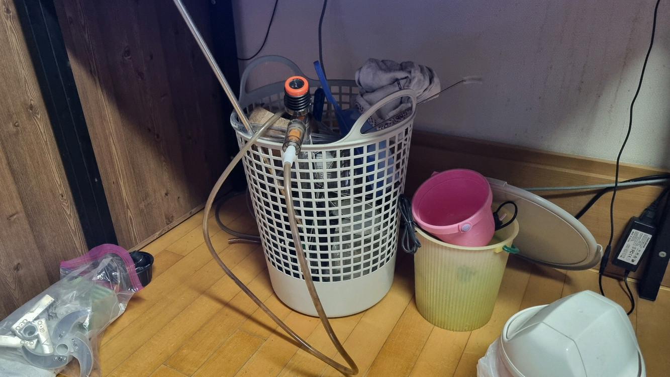 3자 어항 풀세트 - 프론토사 2 + 블랙안시 1 - 물생활 완전 정리 있는 것 다 드립니다.--8