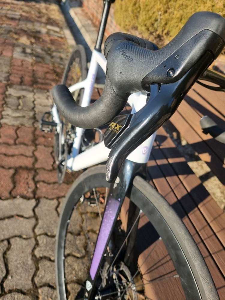 자바 실룰로6 M 사이즈 이미지