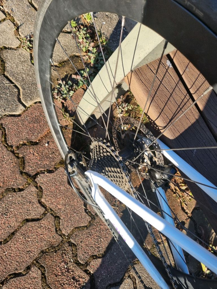 자바 실룰로6 M 사이즈 이미지