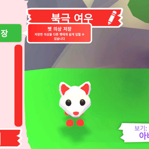 입양하세요 펫 메가네온 북극 여우 (메북여) 판매합니다