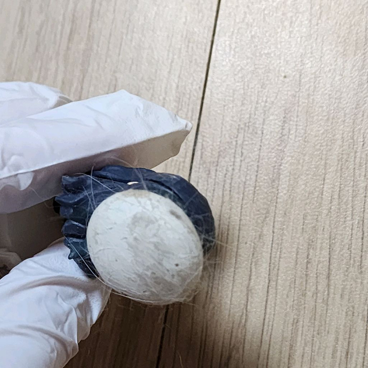 클램프 카드캡터사쿠라 카드캡터체리 피규어 굿즈 팝니다 이미지