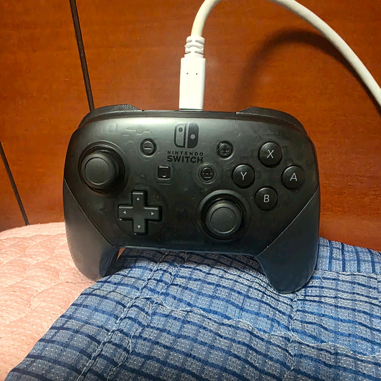 닌텐도 스위치2 + 프로콘--2