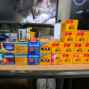 빈티지 필름 23롤 일괄 판매합니다.(코닥, 후지, 코니카)