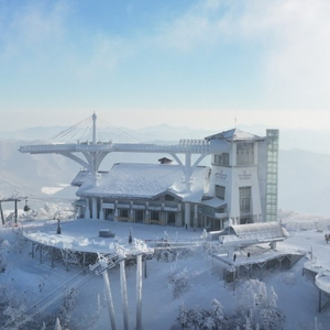 용평 리조트 콘도 8만부터~~ 숙박초특가