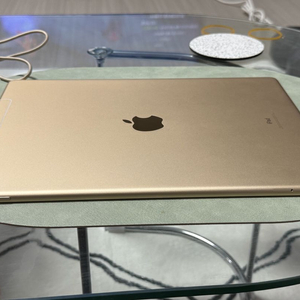 아이패드프로 12.9 2세대 골드 64gb 셀룰러 이미지