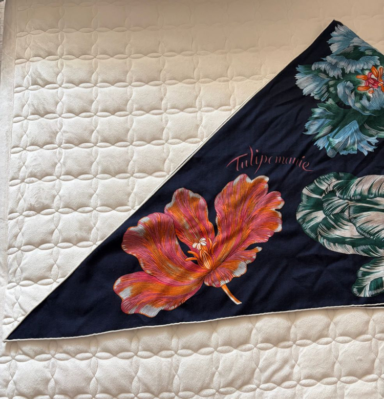 에르메스 튤립자이언트 트라이앵글숄--5