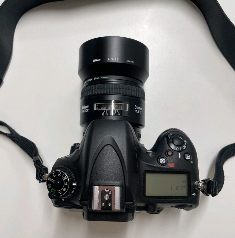 니콘 D600,85mm.1.8d--1