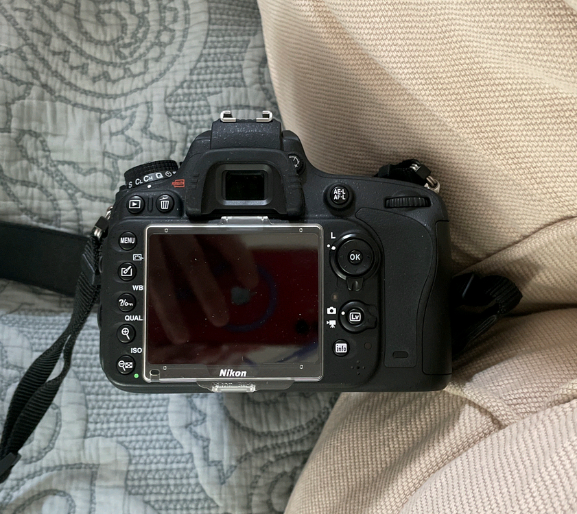 니콘 D600,85mm.1.8d--2