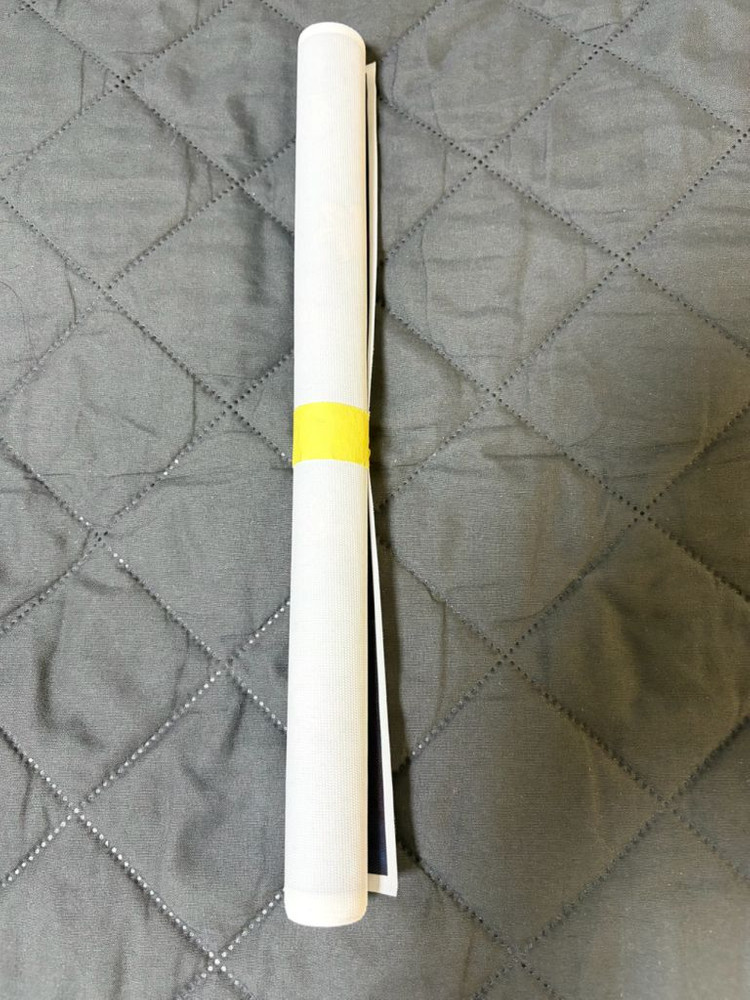 체인소맨 레제 극장판 포스터 한정판매--1