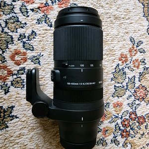 시그마c 100-400 L마운트