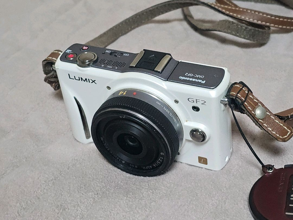 파나소닉 루믹스 GF2 미러리스 카메라 이미지
