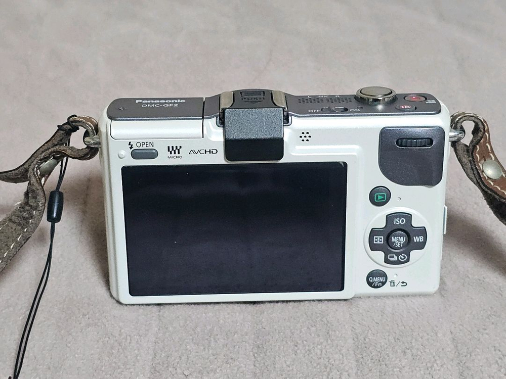 파나소닉 루믹스 GF2 미러리스 카메라 이미지