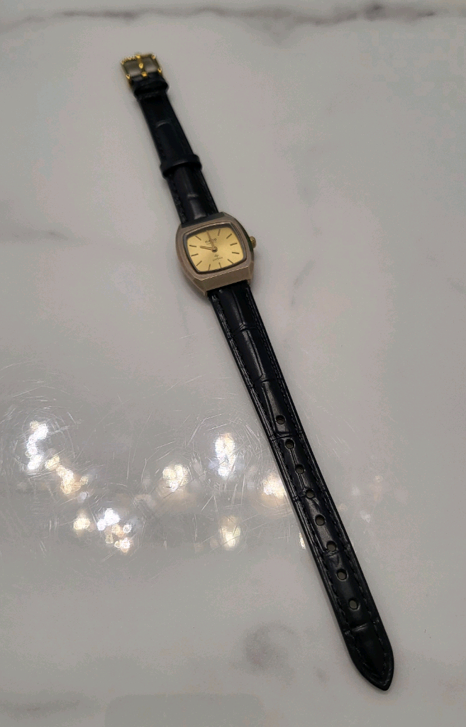 라도 RADO 여성 다이아스타 쿼츠 손목 시계 여성 팔찌 이미지