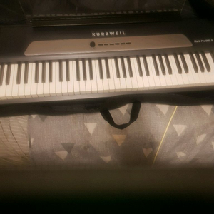 mark-pro onei s 디지털피아노