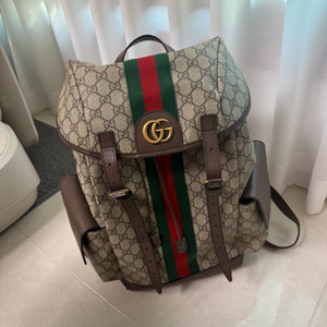 구찌 오피디아 백팩