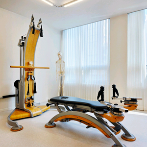 자이로토닉 코브라엘리트