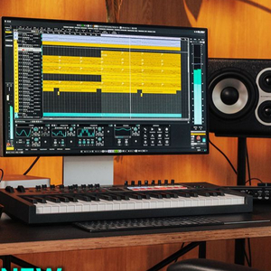 큐베이스 15 LE 팝니다