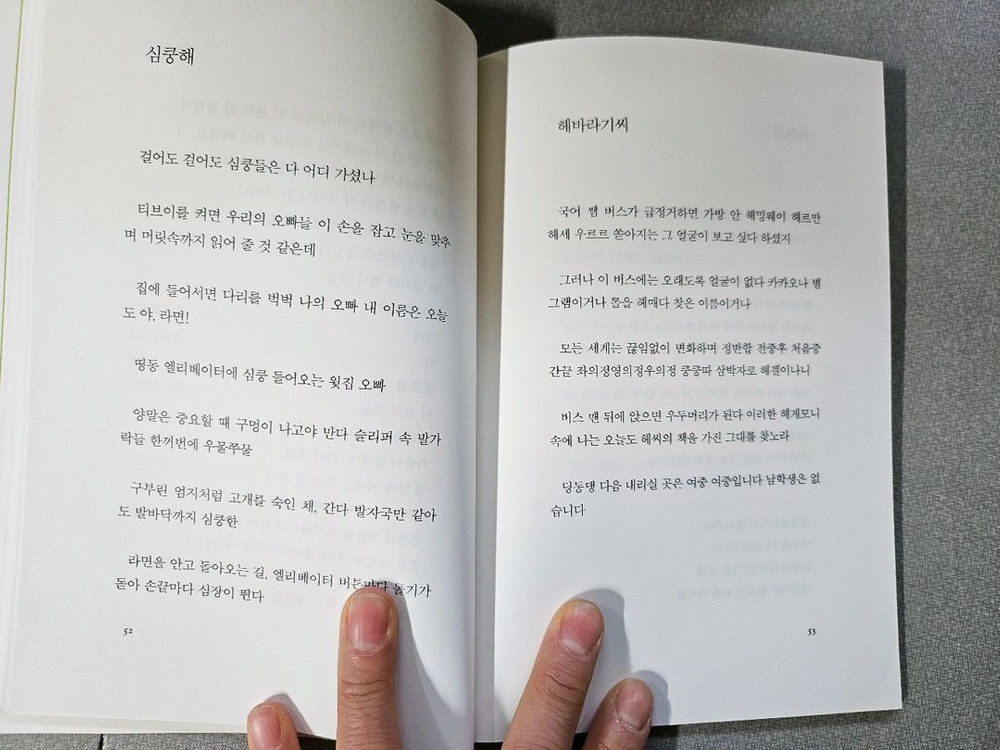 창비 청소년 시선 시집 15권 이미지