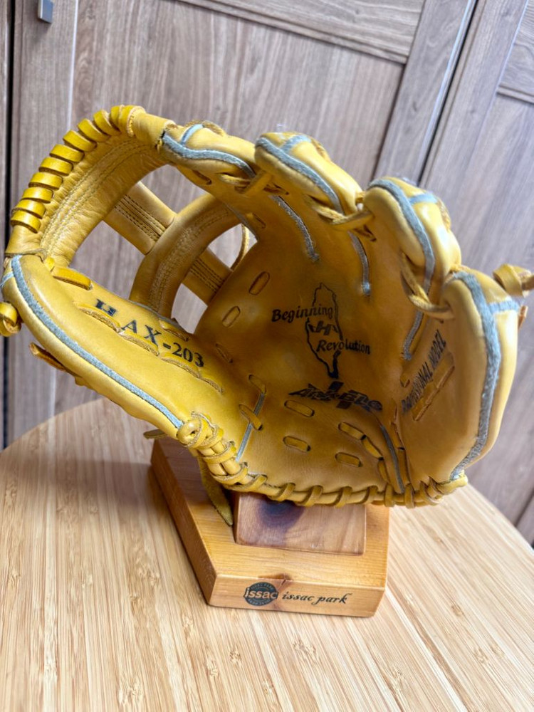 하타케야마 내야용 글러브--2