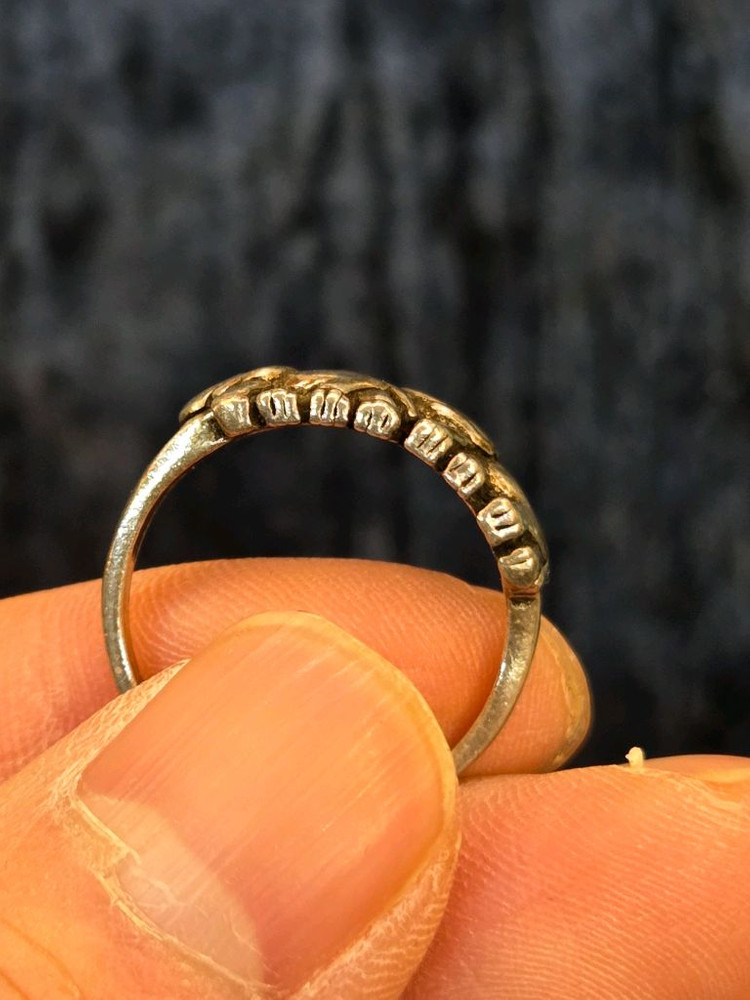 코끼리 은반지 이미지