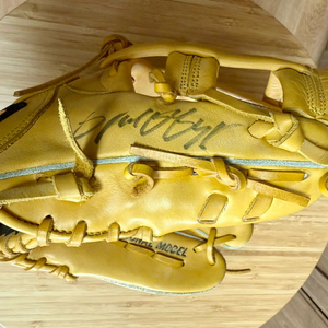 하타케야마 내야용 글러브