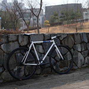 Fixie INC. Peace Maker Gates 카본 벨트 드라이브 픽시 S 사이즈 이미지