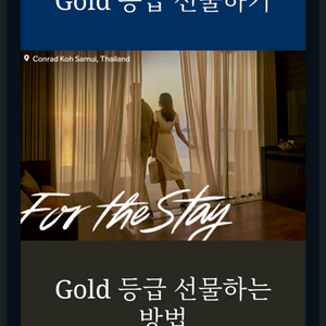 힐튼호텔 골드 등급 판매합니다