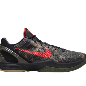 코비6 올스타 외