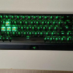 레이저 블랙위도우 v3 미니 하이퍼스피드 팬텀에디션 (황축이었음)