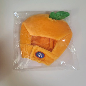 박보검 응원봉 포레봉 커버&포카홀더&포카 미개봉양도!(+수정)