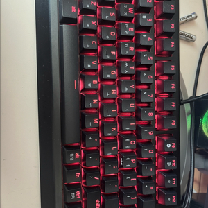 레이저 블랙위도우 v4 75%