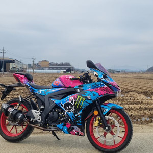 스즈키 GSX R 125 23년식/딱2만키로수/머플러튜닝/검빨/급매