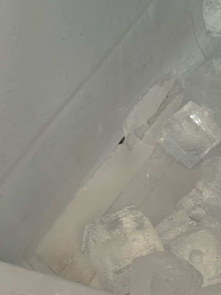 호시자키 Hoshizaki IM-65LE-25 업소용 제빙기 이미지