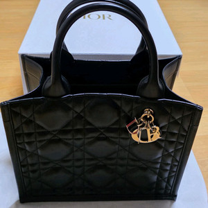 디올 북토트 레더 스몰 블랙