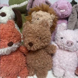 젤리캣 아기 시리즈