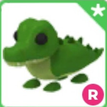 입양하세요 악어 이미지