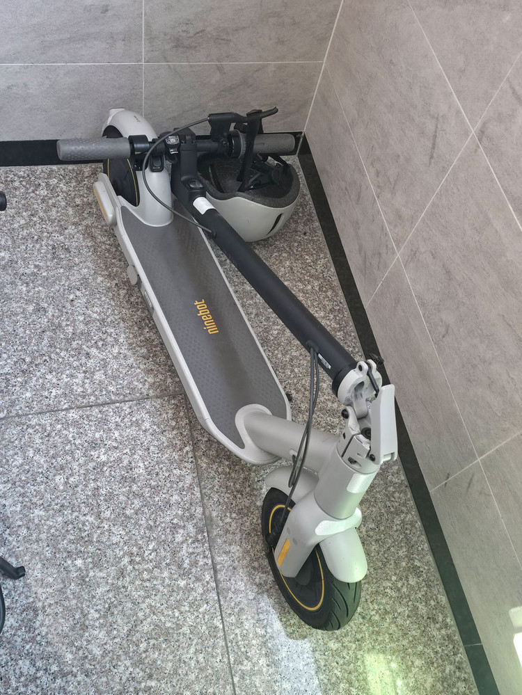 세그웨이 나인봇 G30L (segway ninebot) 이미지
