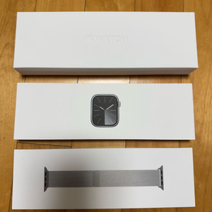 Apple Watch Series 9 45mm (스테인리스)