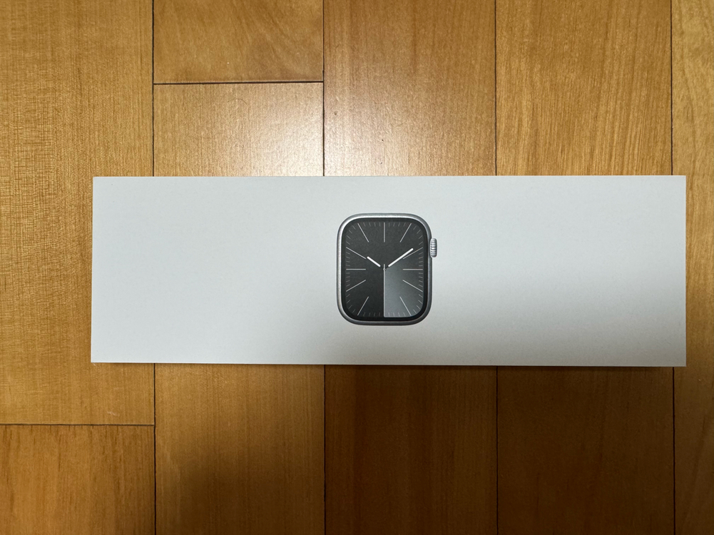 Apple Watch Series 9 45mm (스테인리스)--3
